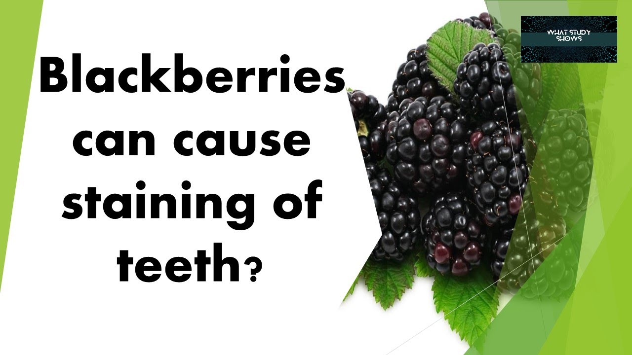 Blackberry Blackberry Myths Blackberry facts Blackberry benefits