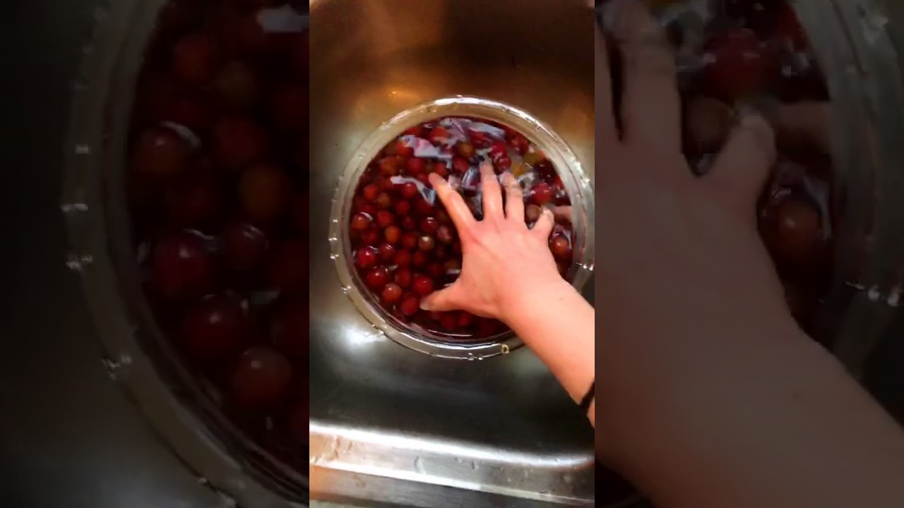 darcie's stamps picking grapes and thinking thoughts