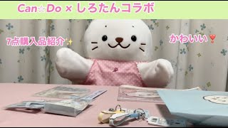 しろたん　キャンドゥコラボ　購入品紹介【うにうにこ】