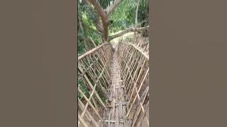 wa.ani jalangko reanga