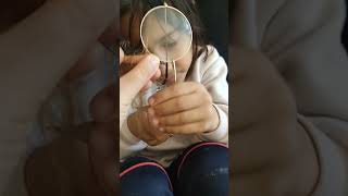 Umayın Saçına Gözlük Takıldı