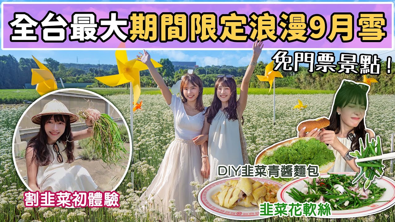 期間限定9月雪！全台最大雪花海免費景點！體驗割韭菜、自己做韭菜麵包？地人激推韭菜料理、Q彈放山雞！2024桃園韭菜花季，五大裝置藝術！📍好想去桃園