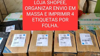 Como entrar Central do Vendedor Shopee e organizar envios.