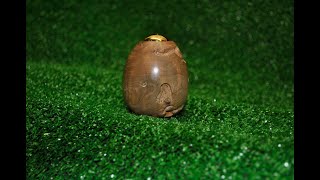 11 Woodturning - Kaleidoscope Egg