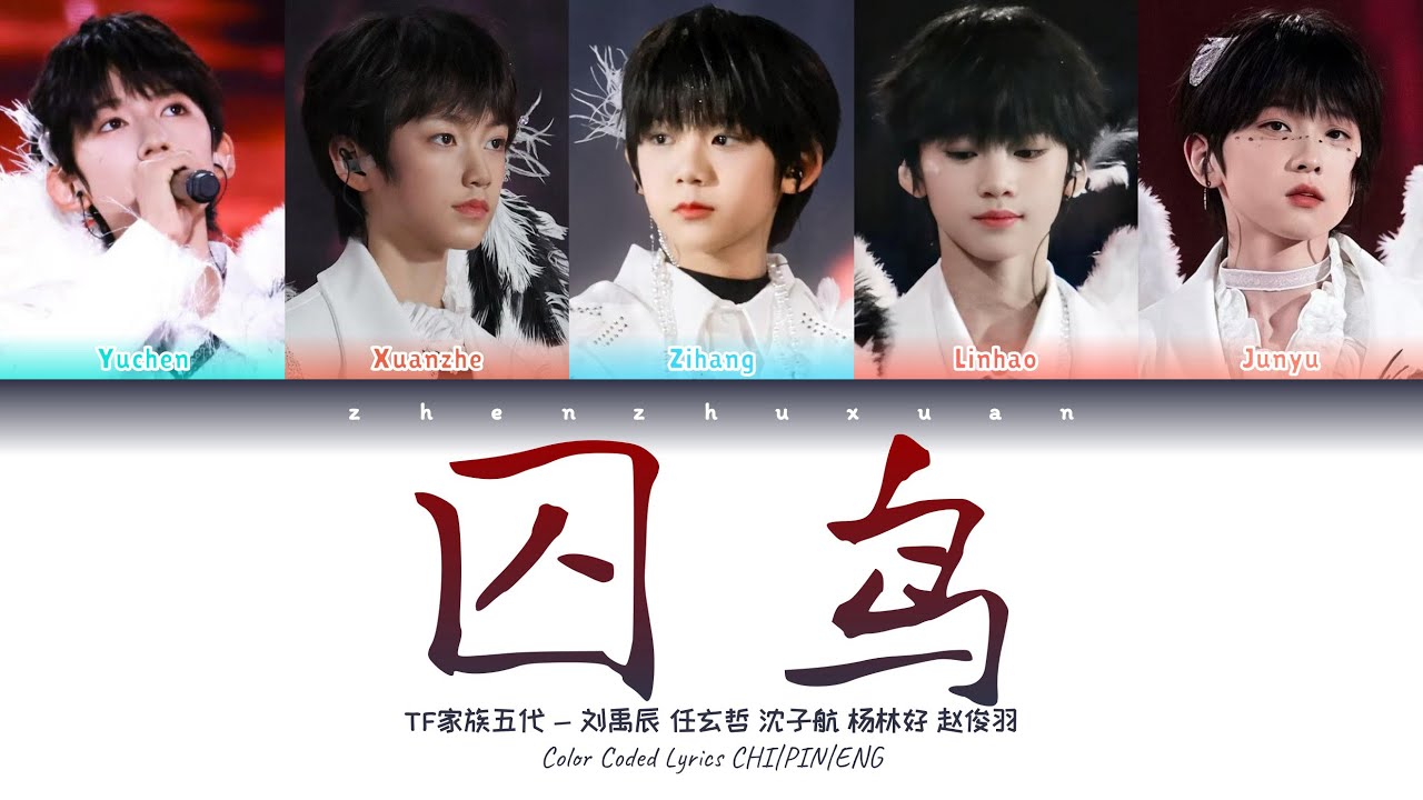TF家族五代 (TFFAMILY FIFTH GEN) - 囚鸟 (Jailbird) [Color Coded Lyrics Chi | Pin | Eng]