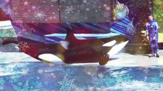 Merry Christmas! (Secret Santa)
I was sparklywindsield88s secret santa, so heres your video! :D Merry Christmas, and I hope you like it^^
Footage:
CetusCetus
TessOrca
Mine
TheShamuLova
Trouble906
Echobeluga
SeaWorld
Marineland
Thaísa Encarnação
*If I forgot anyone please let me know! I used a lot more footage than usual in this video and so may have forgotten a name or two* Merry Christmas! (Secret Santa)