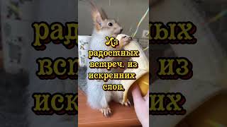 Доброе утро! Красивоепожелание#видео#красиваямузыка#shorts