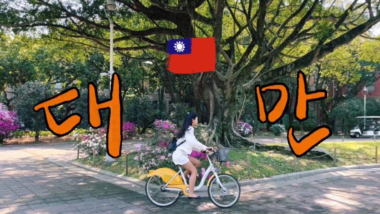 🇹🇼 Vlog. 초록이 가득한 대만 여행 🌳 현지인이 사랑한 공원과 맛집 가보자고🫧, 다안삼림공원 피크닉, 대만대 자전거산책, 단수이