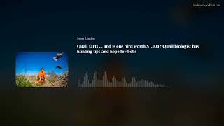 Quail farts ... and is one bird worth $1,000? Quail biologist has hunting tips and hope for bobs by Scott Linden 74 views 2 months ago 1 hour, 11 minutes