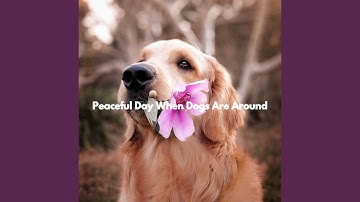 Vibrant Music for Limitless Overtones