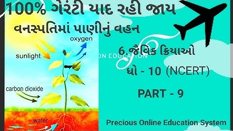 વનસ્પતિમાં પાણીનું વહન કરી 100% યાદ રાખવાની રીત ,ધો -10