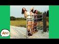 GATE Limit REACHED! 😂  | Funny Fails | AFV 2020