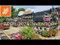 New arrivals home depot garden center inventory april 2024 perennials shrubs and evergreens