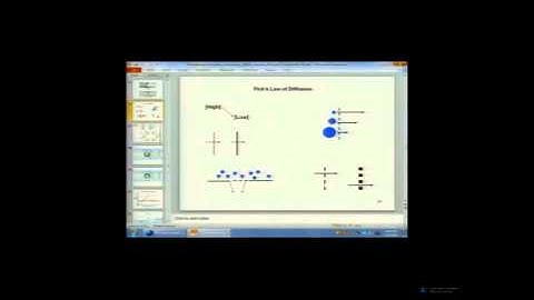 Foundational Concepts of Physiology & Pathophysiology