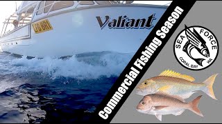 CARNARVON TO CORAL BAY | Commercial Wetline Fishing Trip 8.