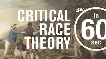 Critical race theory and public opinion | IN 60 SECONDS