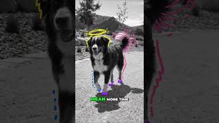 Vail Valley: Summer Adventures Beyond the Slopes! #shorts