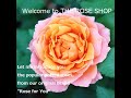 Welcome to THE ROSE SHOP！Let me introduce you  potted roses from our original brand"Rose for You"