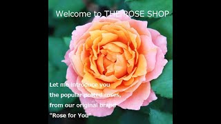Welcome to THE ROSE SHOP！Let me introduce you  potted roses from our original brand"Rose for You"