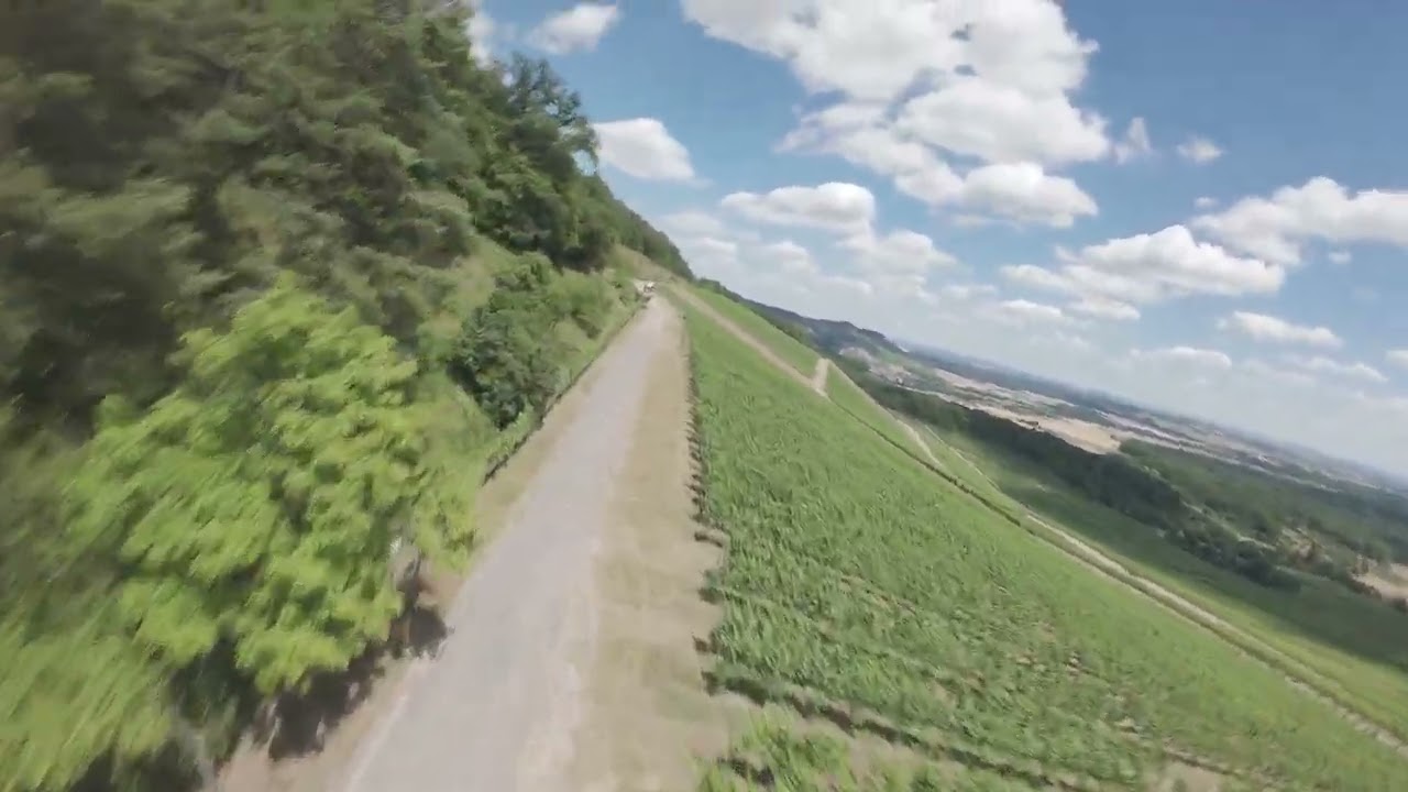 Avata 2 über Weinberg in Horrheim