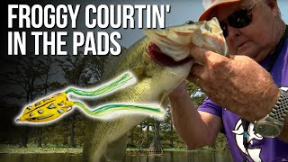 Froggy Courtin' in the Pads