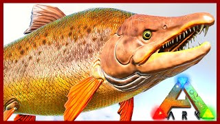 Taming Fish For Our Aquarium - The Island Map - Ark Survival Evolved Ep 32