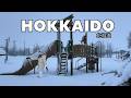 Winter in Hokkaido Countryside | Quiet Towns, Snow Roads &amp; an Unexpected Miracle | JAPAN TRAVEL VLOG