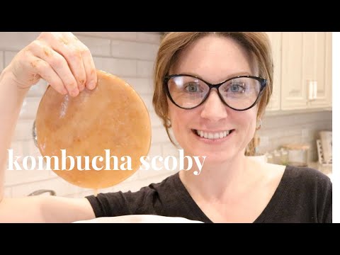 Video: How to grow kombucha from scratch?