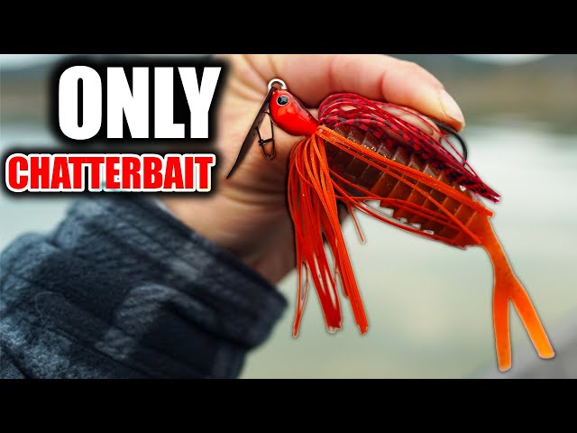 The ONLY 2 CHATTERBAIT Combos you NEED 