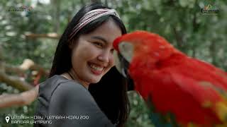 Treasure Of Sumatera  2020 | Official Music Video Production ( Nineteen Project )