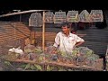 Lucknow nakhas market full exotic birds market update  200424       