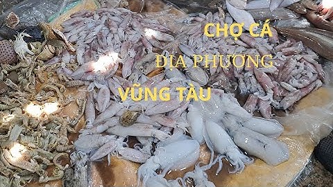 Chợ cá Rạch Dừa - chợ hải sản tươi ngon giá rẻ tại Vũng Tàu