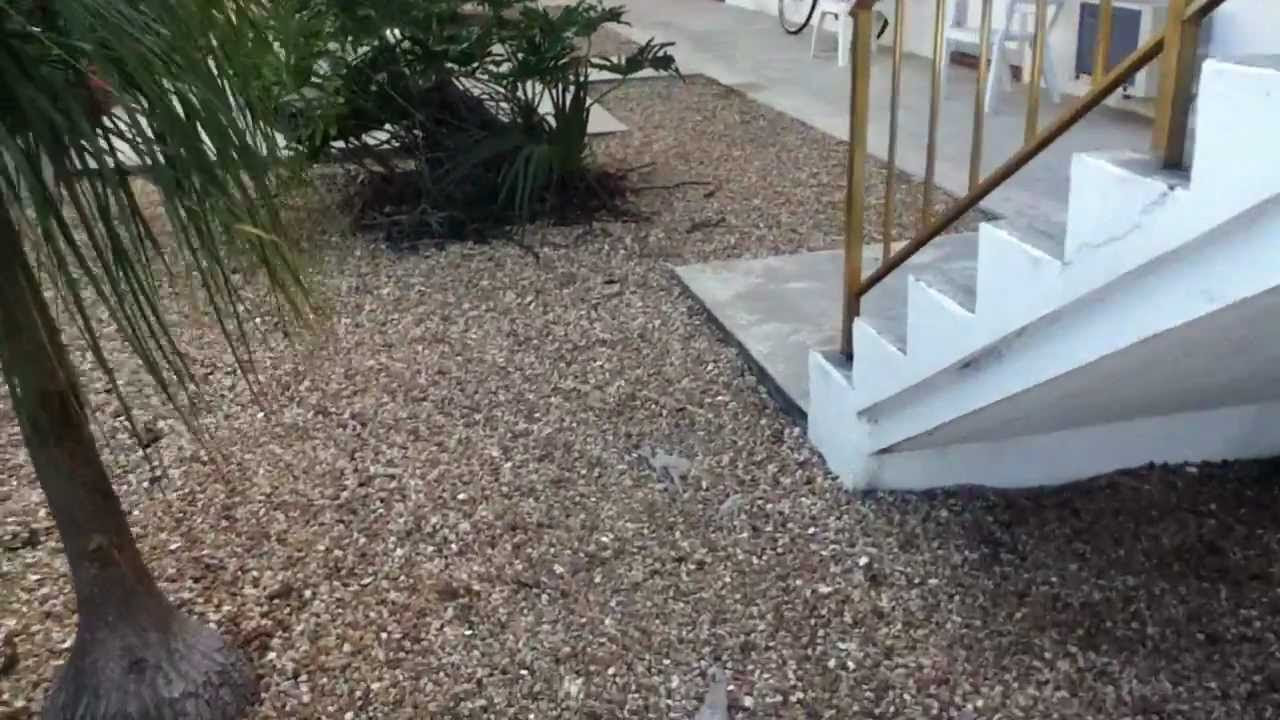 video tour 1 bedroom for rent downtown Lake Worth FL