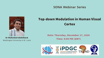 Top-down Modulation in Human Visual Cortex │Dr Mohamed Abdelhack