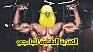 التغذية الطبيعية للبادجي