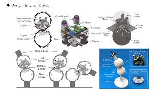 DISG: Driving-Integrated Spherical Gear Enables Singularity-Free Full-Range Joint Motion