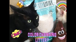 Color Changing Litter? My Pretty Litter Review