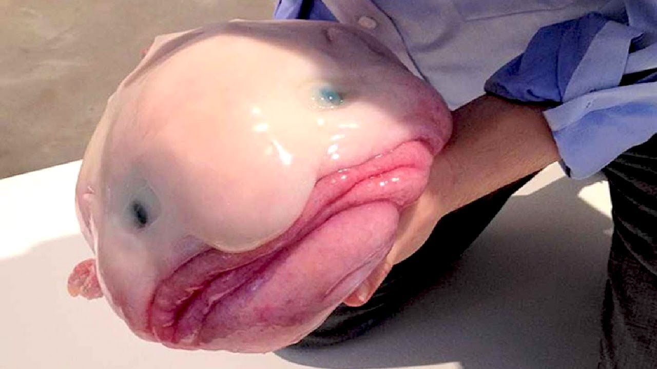 Қыздар қолдарымен кискаларына тиіп, мастурбация жасайды Пенисесі бар қыздардың суреттері