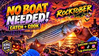 How to Catch and Cook Maryland Rockfish (Fall Season)