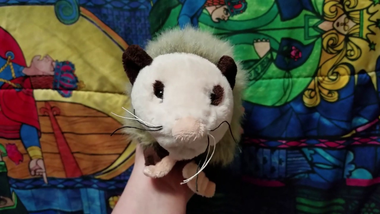 possum webkinz