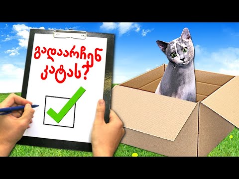 კატა ავიყვანე მოსავლელად | Animal Shelter Simulator ubralod noobi