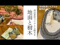 【渓谷鉄道編-5-】身近な素材でリアルな木が⁉️地面作成と樹木を作る✨