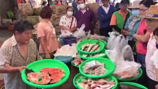 Taiwan Seafood Auction  Fresh Fish ! Beautiful Price !