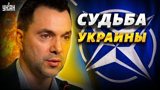 В НАТО решили судьбу Украины. Принят радикальный план – Арестович