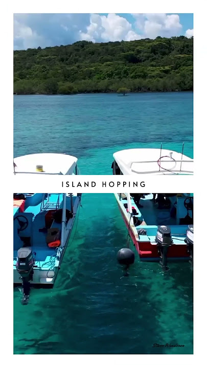 Paradise Found! Explore the Enchanting Taveuni Islands, Fiji 🌺Uncover Nature’s Masterpiece #travel