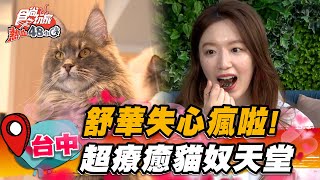 Shuhua lost her mind in this lovely petfriendly restaurant | SuperTaste | (G)IDLE Shuhua 예슈화