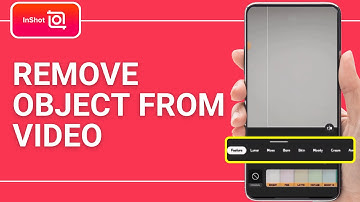 How to Remove Object From Video For Free in Inshot