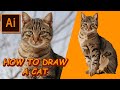 How to draw a cat using adobe ai