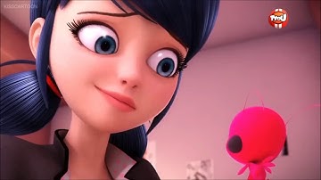 Pity party ladybug amv