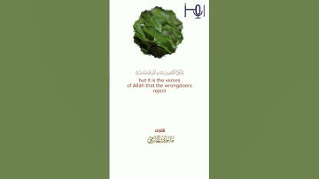 من تلاوات استوديو رمز                            القارئ |ماجدالحازمي #قرآن #تلاوات